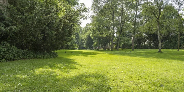 Dekoracje idyllicznym parku — Zdjęcie stockowe