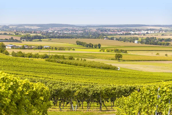 Пейзаж виноградарства в Гогенлоэ — стоковое фото