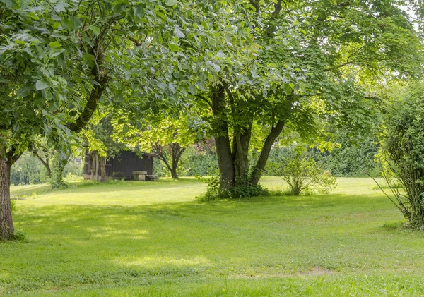 Dekoracje idyllicznym parku — Zdjęcie stockowe