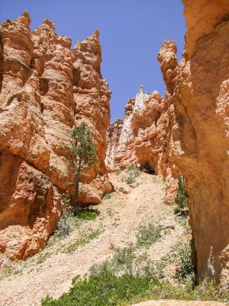 Bryce Kanyonu Ulusal Parkı — Stok fotoğraf