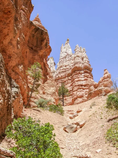 Bryce Kanyonu Ulusal Parkı — Stok fotoğraf