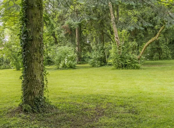 Cenário parque idílico — Fotografia de Stock