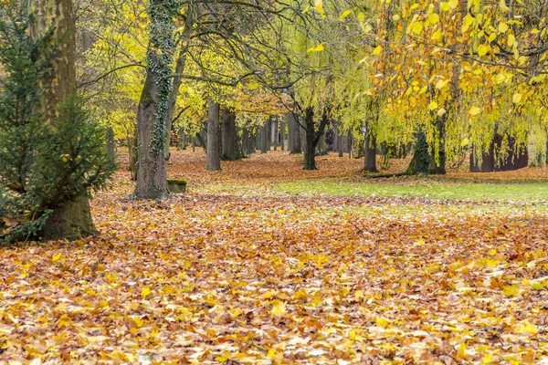 Paysage du parc d'automne — Photo