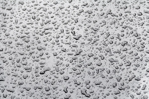 Water beads on repellent ground — Stock Photo, Image