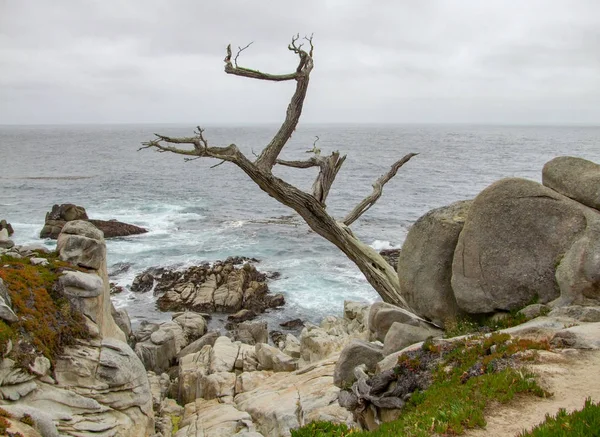 カリフォルニア州の牧歌的な沿岸風景 — ストック写真