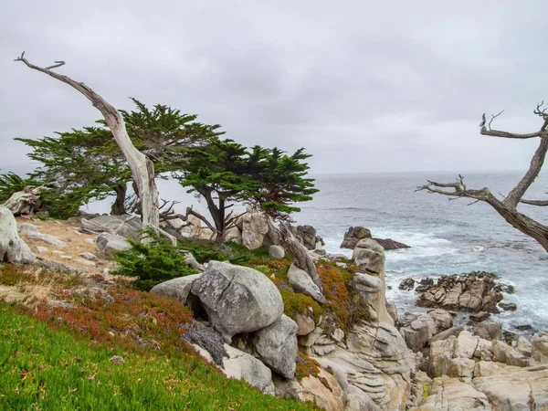 カリフォルニア州の牧歌的な沿岸風景 — ストック写真