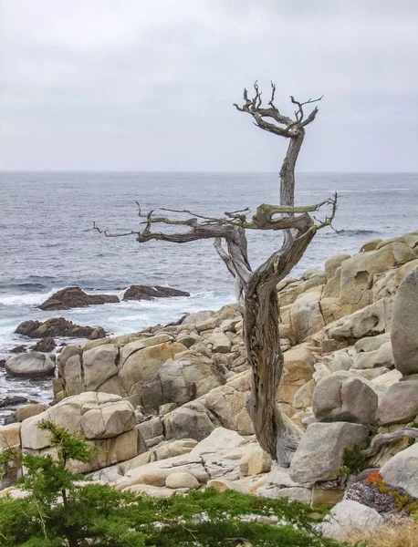 Paisajes costeros idílicos en California —  Fotos de Stock