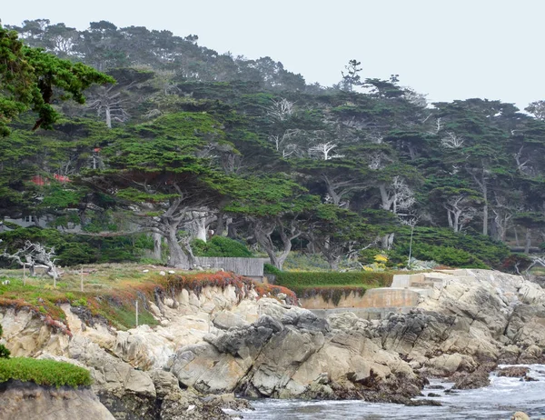 Paisajes costeros idílicos en California —  Fotos de Stock