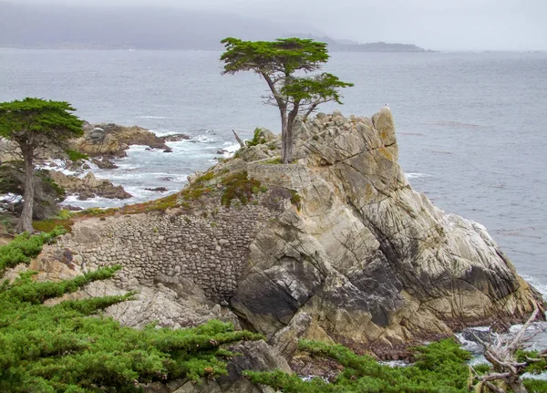 Paisajes costeros idílicos en California —  Fotos de Stock