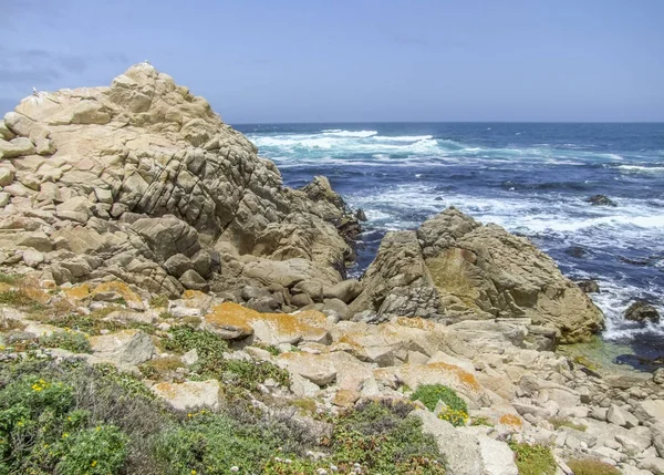 Paisagem costeira na Califórnia — Fotografia de Stock