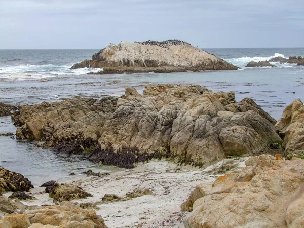 Paisagem costeira na Califórnia — Fotografia de Stock