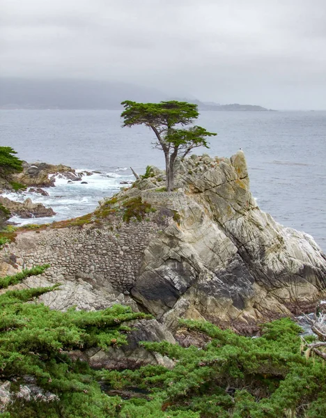 Paisajes costeros idílicos en California —  Fotos de Stock