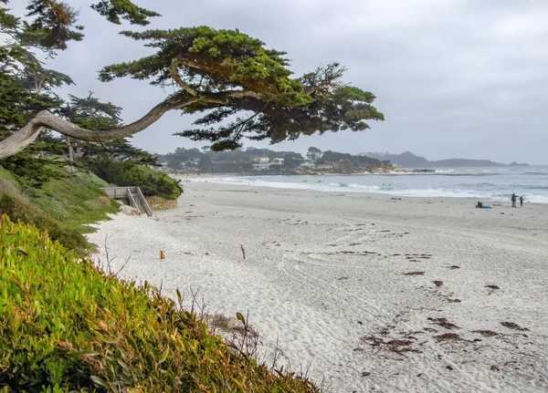 カリフォルニア州の牧歌的な沿岸風景 — ストック写真