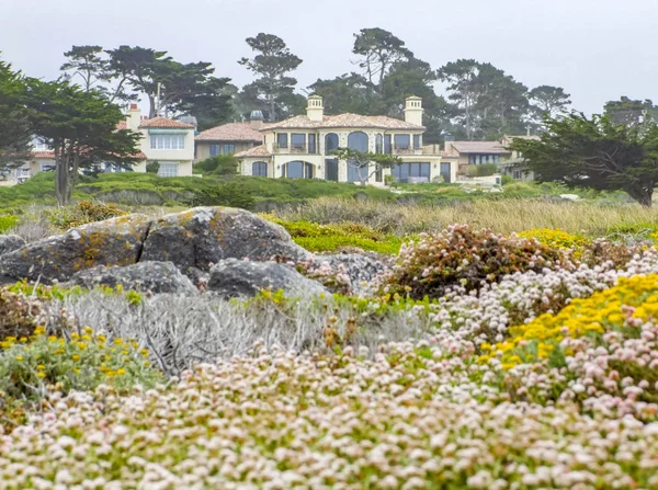 Paisajes costeros idílicos en California —  Fotos de Stock