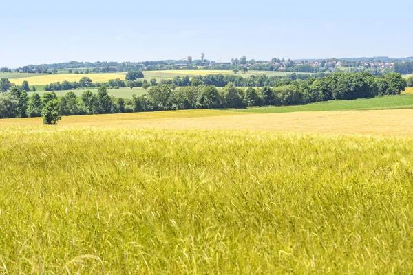 Paesaggio rurale a Hohenlohe — Foto Stock