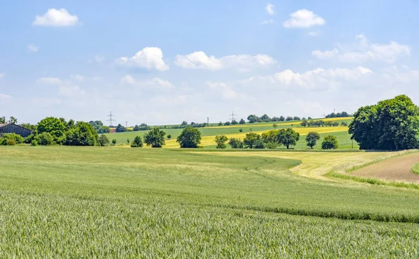 Ländliche Landschaft im Hohenlohekreis — Stockfoto