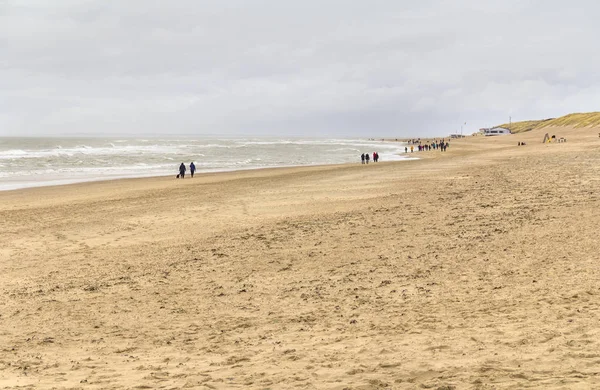 Paisaje de playa costera —  Fotos de Stock
