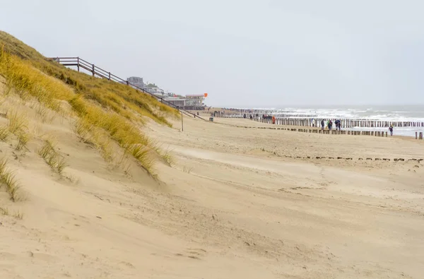 Spiaggia costiera scenario — Foto Stock