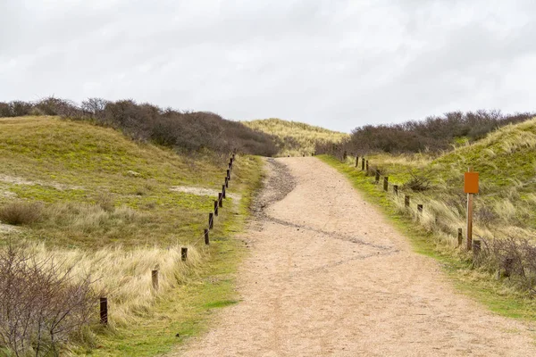 Paisaje de dunas costeras — Foto de Stock