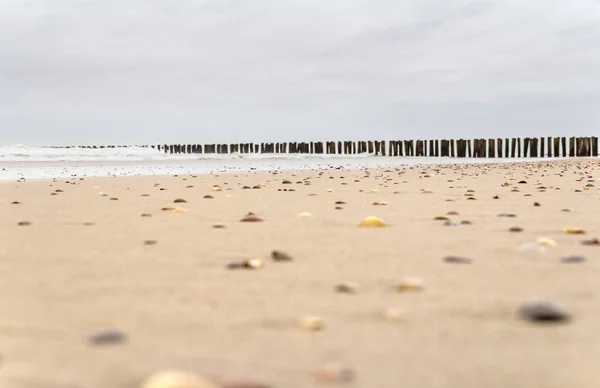 Kust-strand landschap — Stockfoto