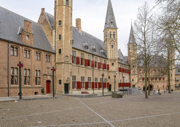 Κοντά σε Αβαείο του Middelburg — Φωτογραφία Αρχείου