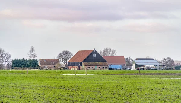 Siedlung in den Niederlanden — Stockfoto