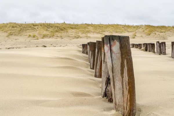 Zarostlé beach detail — Stock fotografie