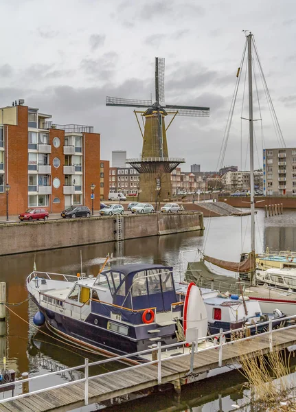 Windmolen in Rotterdam — Stockfoto