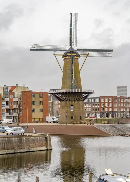 Windmolen in Rotterdam — Stockfoto