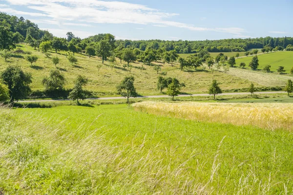 Paisagem rural ensolarada — Fotografia de Stock