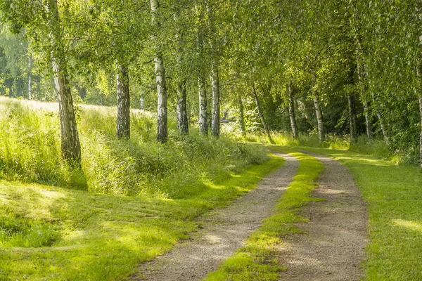 Idyllic field path — Stock Photo, Image