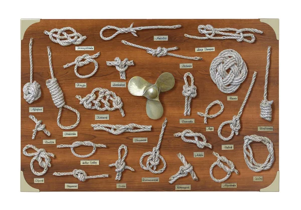 Various knots display — Stock Photo, Image