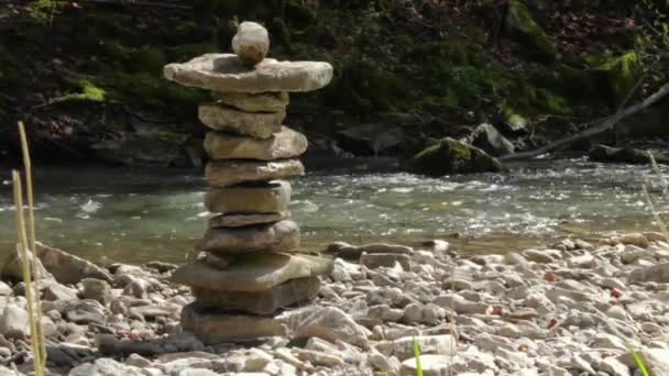 Riparian Scenery Small River Including Stacked Stones — Stock Video