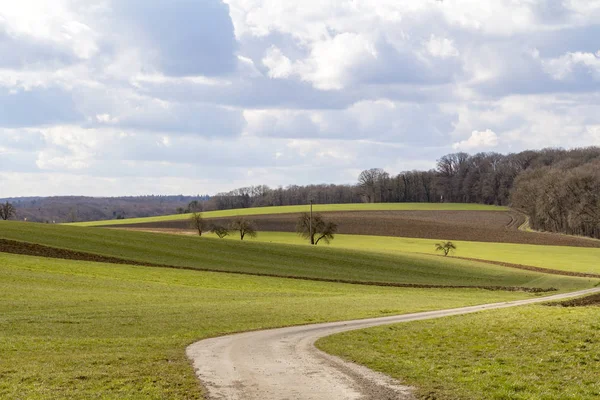 Paesaggio agricolo idilliaco all'inizio della primavera — Foto Stock