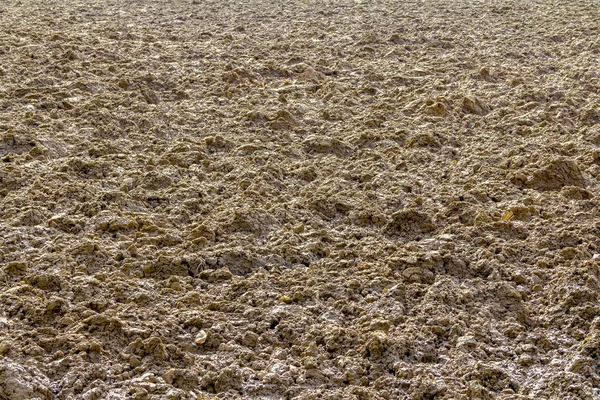 Plowed field detail — Stock Photo, Image