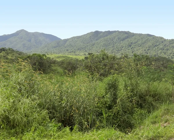 Paisaje en Belice — Foto de Stock