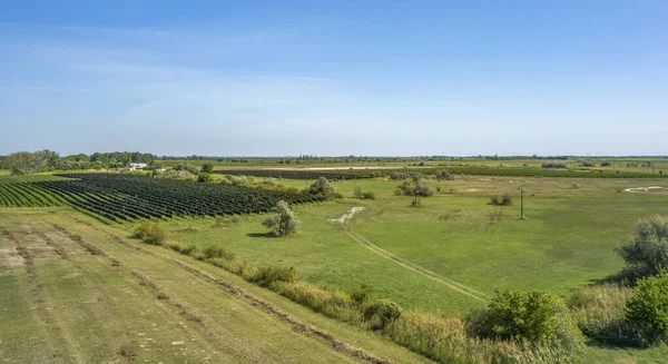 Wokół Podersdorf am See — Zdjęcie stockowe