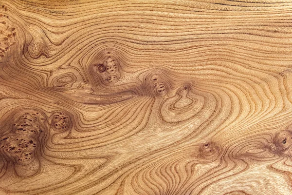 Burl wood background — Stock Photo, Image