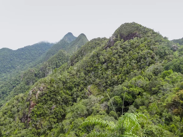 Tilgroede bjerge på Langkawi - Stock-foto