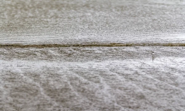 Kıyı çamurlu düz manzarası — Stok fotoğraf