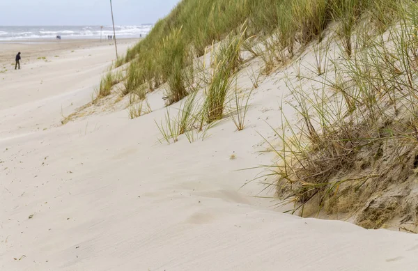 Krajobraz plaży w Spiekeroog — Zdjęcie stockowe