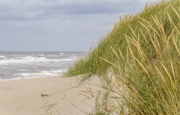 Strand landschap bij Spiekeroog — Stockfoto