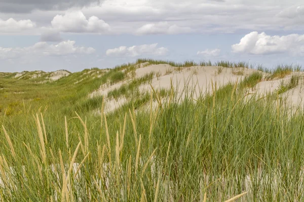 Spiekeroogのビーチの風景 — ストック写真