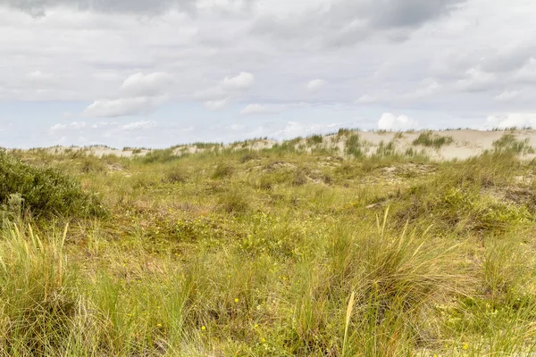 Spiekeroog in East Frisia — Stock Photo, Image