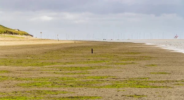 Beach scenery at Spiekeroog — Stock Photo, Image