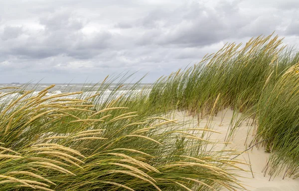 Strand landschap bij Spiekeroog — Stockfoto