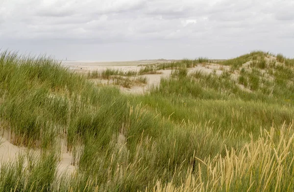 Paisaje de playa en Spiekeroog —  Fotos de Stock