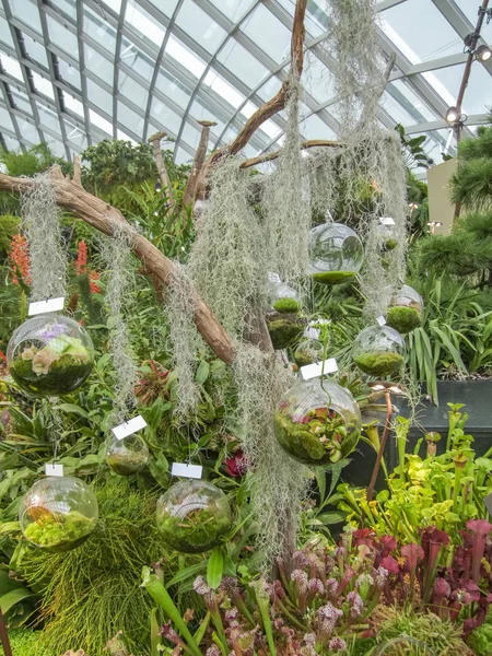 Jardins junto à Baía — Fotografia de Stock