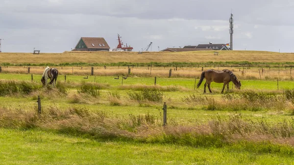 Spiekeroog in East Frisia — Stock Photo, Image