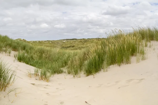 Strand landschap bij Spiekeroog — Stockfoto